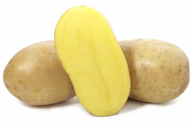 Особенности посадки картофеля Вега