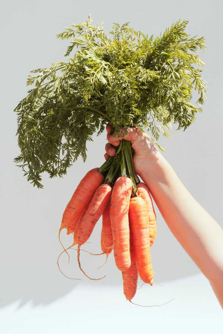 Минусы поздней посадки моркови: