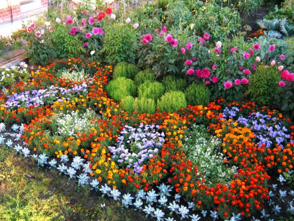 Регулярный уход за цветами и растениями
