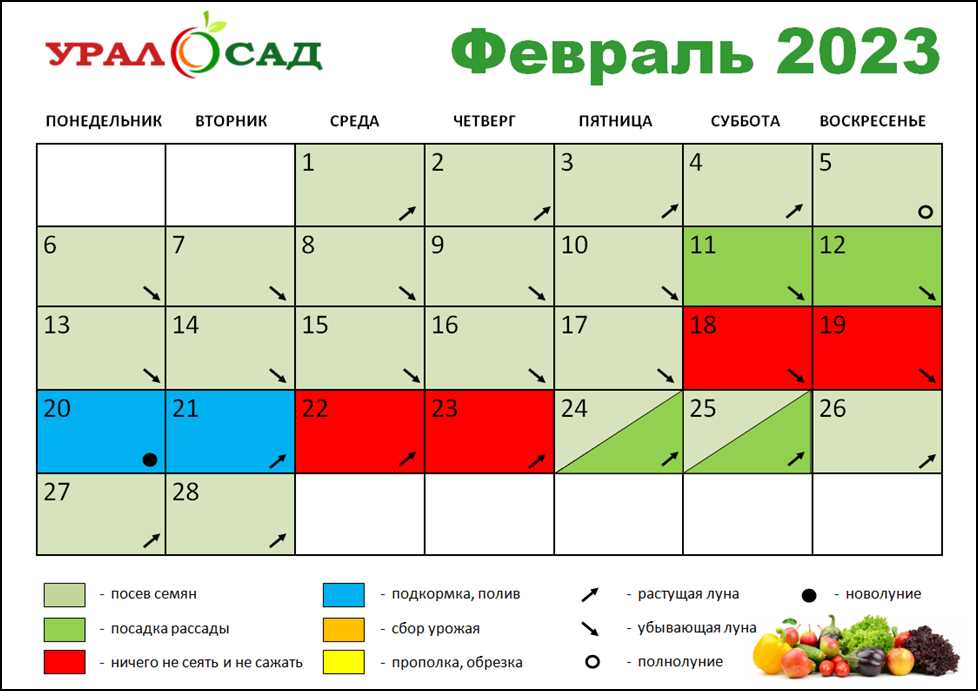 Лунный календарь и связанные с ним лунные аспекты для подкормки растений в феврале 2023 года