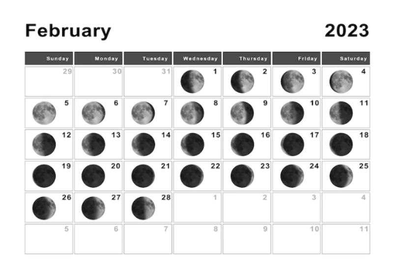 Лунные ритмы для посадки растений в феврале 2023 года