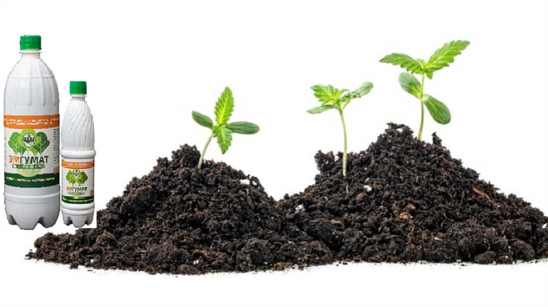 Органические удобрения для огорода: польза и эффективность