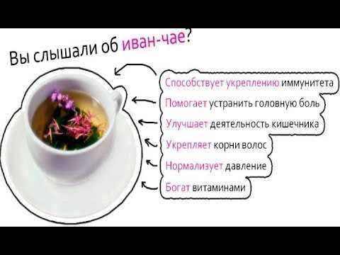 Положительное влияние Иван-чая на пищеварительную систему