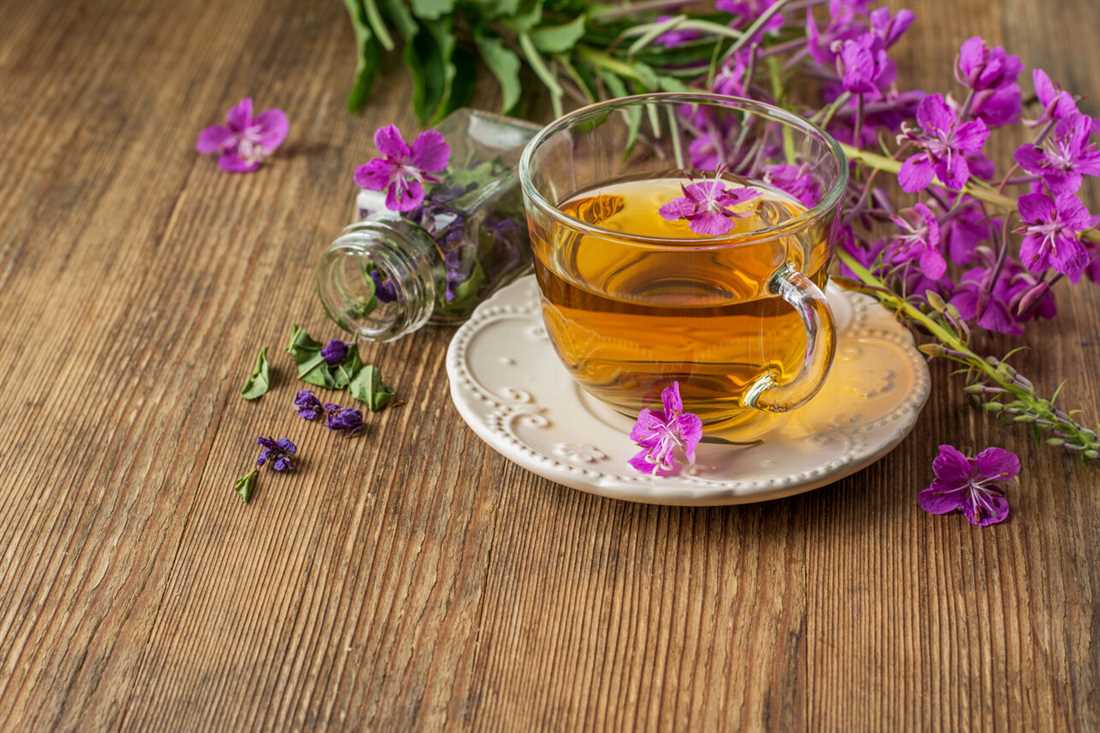 Биологически активные вещества Иван-чая и их полезные свойства