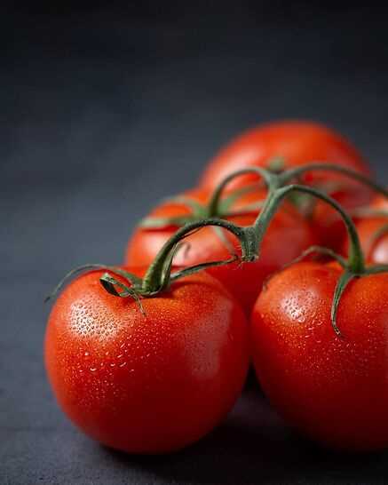 Растение помидор: классификация и описание