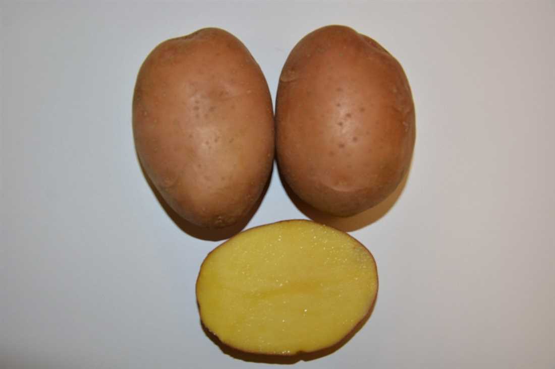 3 год: Топовые ранние сорта картофеля