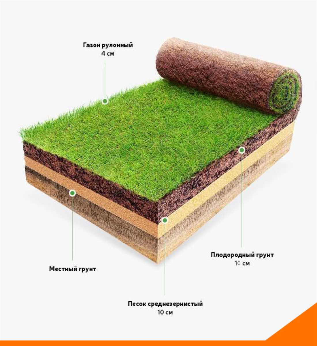 Как выбрать подходящий рулонный газон для вашей дачи