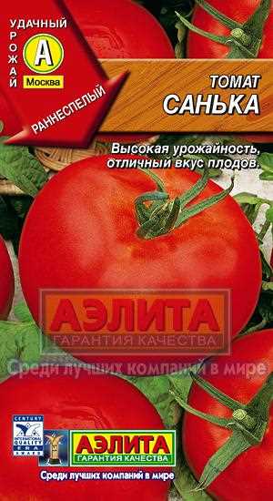 Уход за томатами Санька 2023
