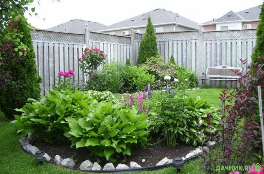 Примеры успешных садов с хостом и его соседями