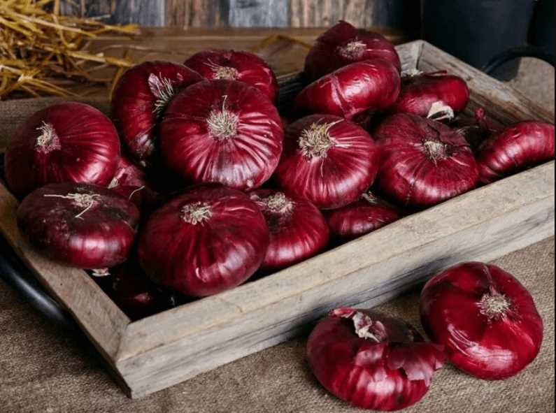 Советы по выращиванию Ялтинского красного лука