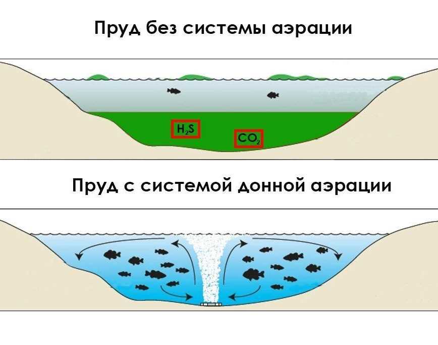 Почему пруду необходим аэратор?