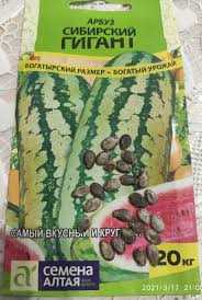 Характеристики и особенности арбуза Сибирский гигант