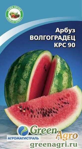 Советы по уходу за арбузами Волгоградец КРС 90