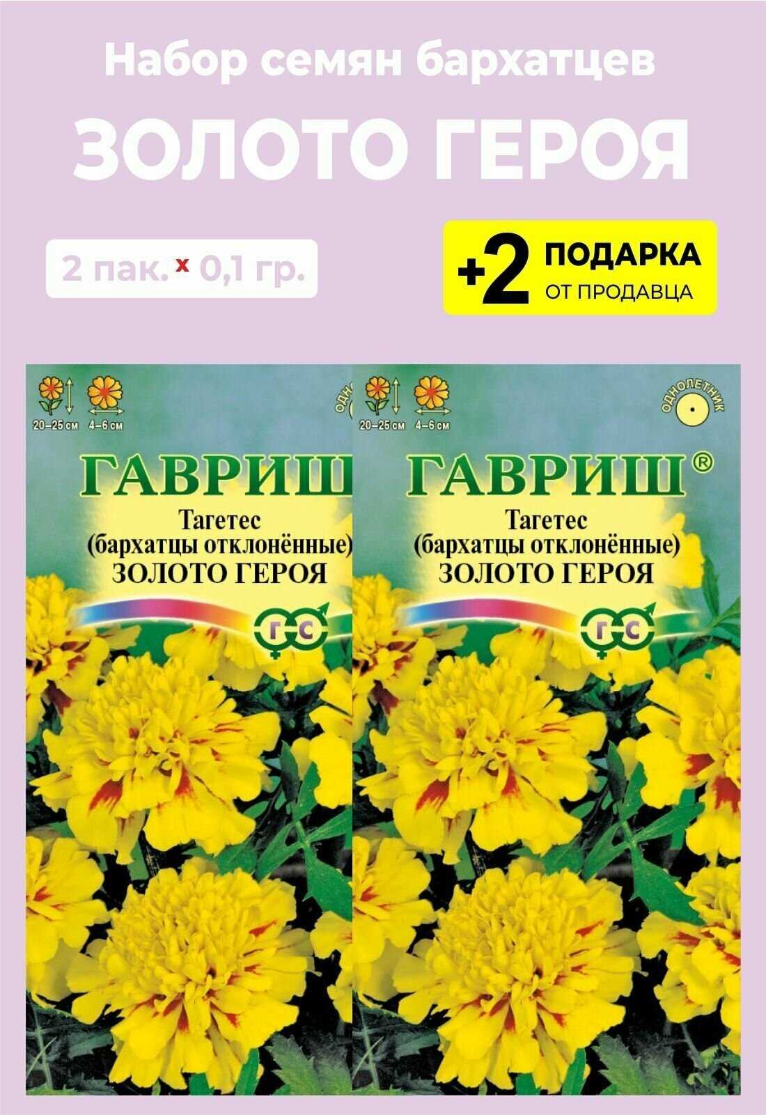 Бархатцы: символ роскоши и власти