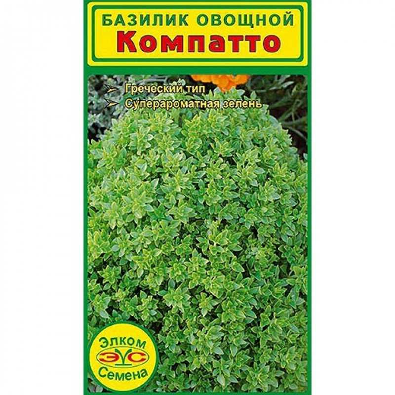 Выращивание базилика Компатто: подготовка грунта, посев и уход