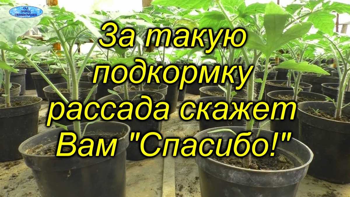 Выбор удобрений