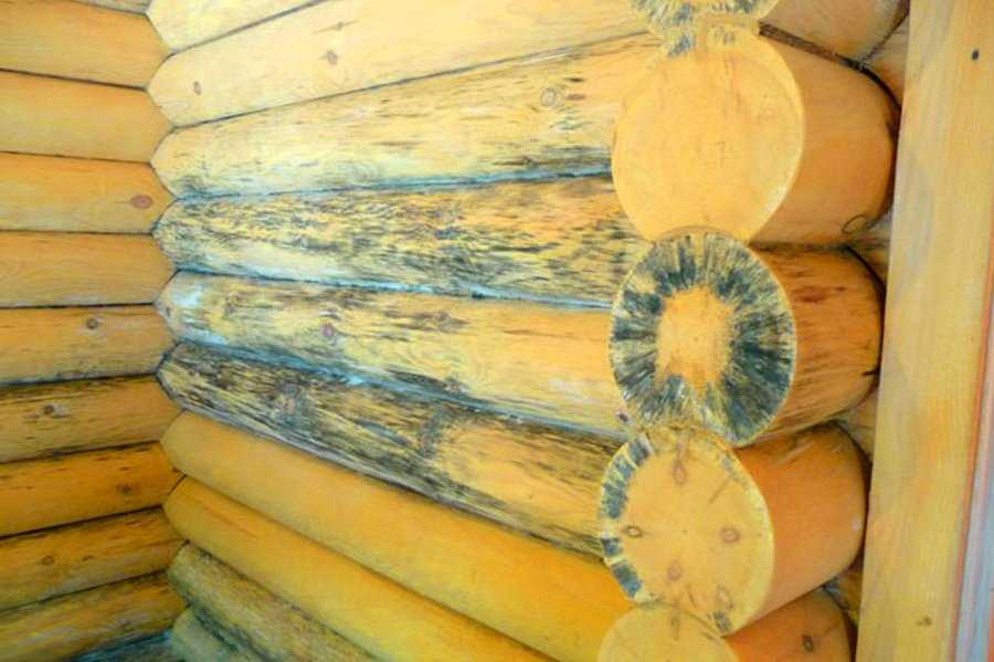 Преимущества обработки древесины от гниения и влаги