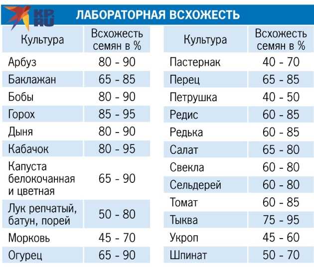 Основные факторы, влияющие на время всхода кабачков