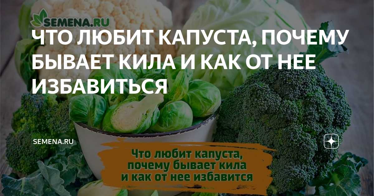 1. Механическое удаление