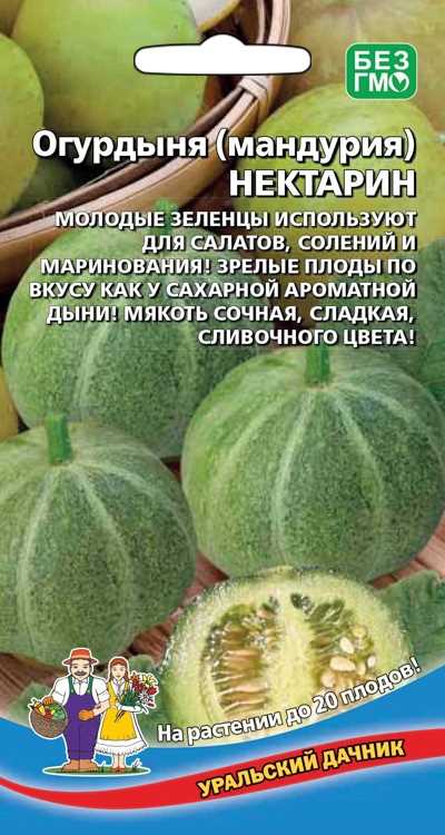 Дынный морс