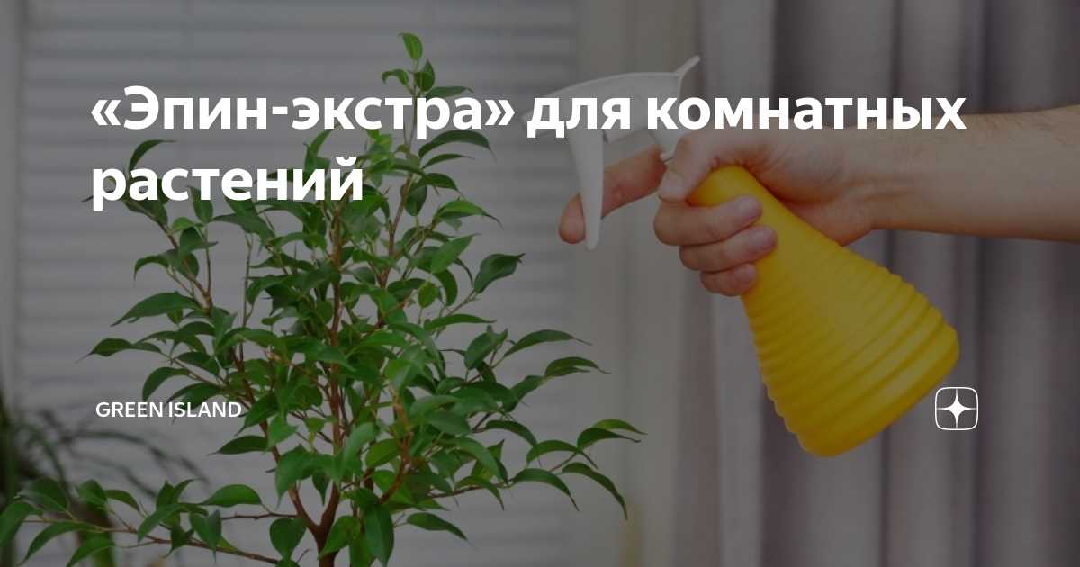 3. Овощные и плодовые растения: