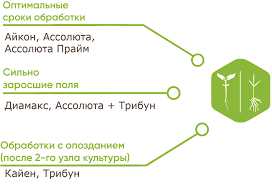 2. Использование защитной экипировки