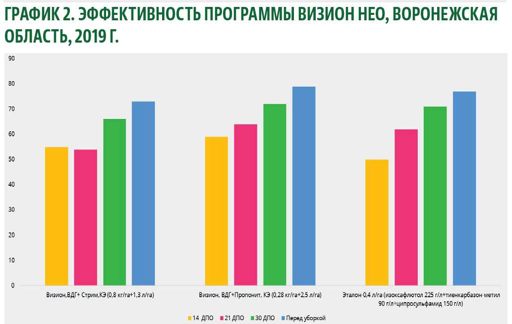 Как применять гербицид Визион: