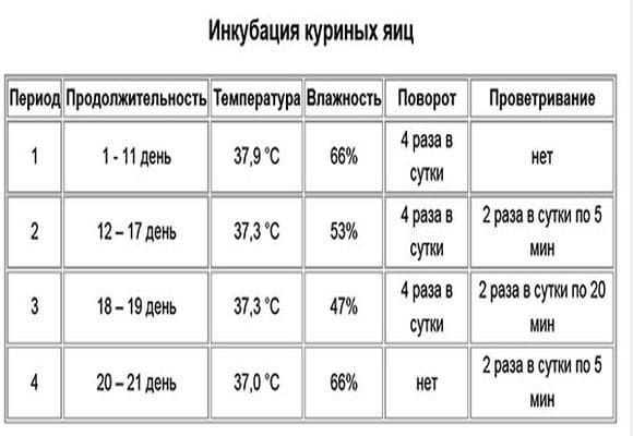 Подготовка и уход за инкубационными яйцами