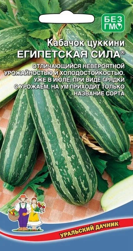 Традиционные рецепты с кабачком