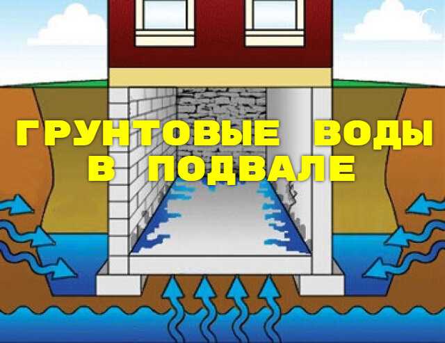 Почему вода появляется в погребе?