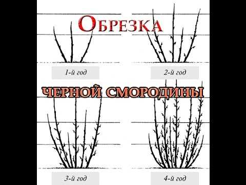 Выделение участков для обрезки