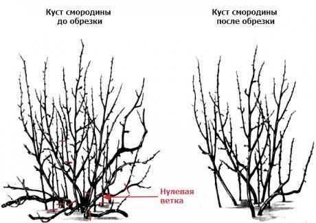 2. Старые ветки