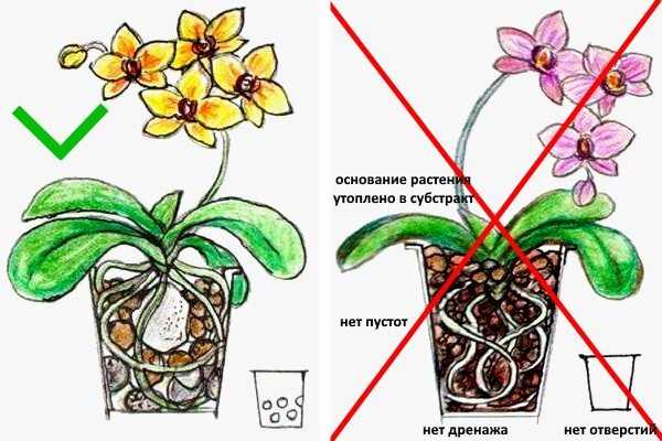 Определение оптимального времени