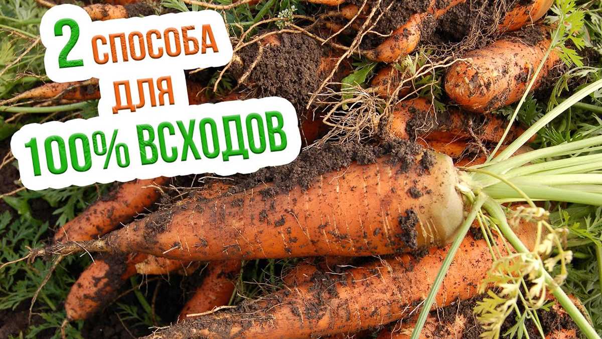 4. Улучшение почвы