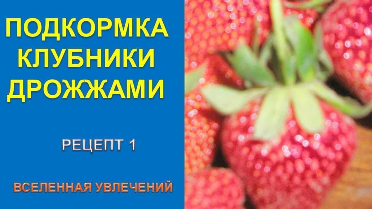 Преимущества подкормки клубники дрожжами