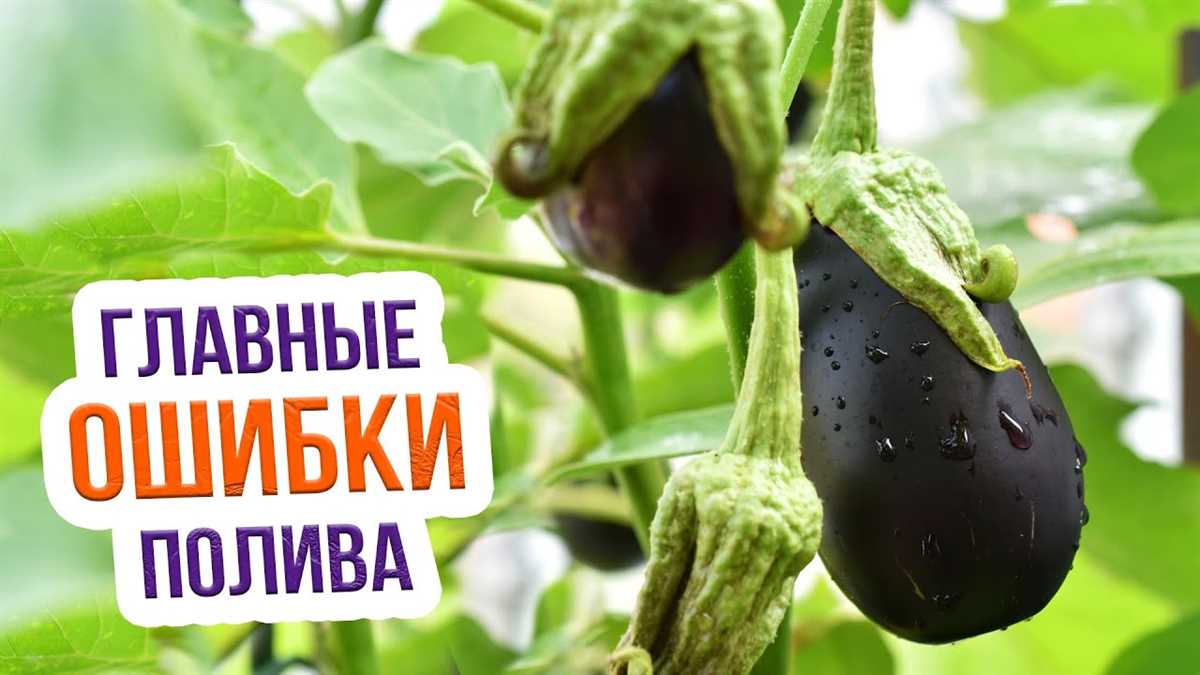 Что нужно учесть при выборе?