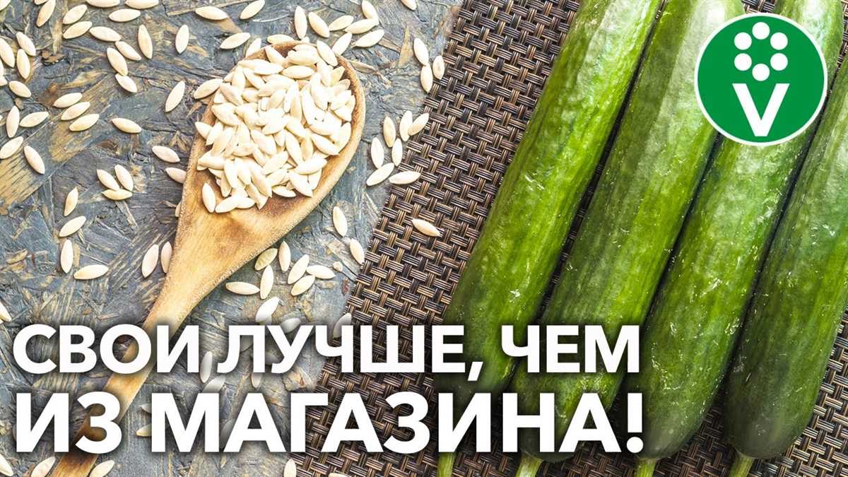 Метод пыльцевания цветков для получения семян огурцов