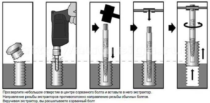 Экстрактор: что это такое и как он работает