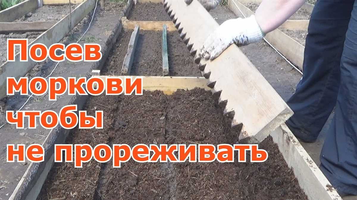 Выбор и подготовка почвы