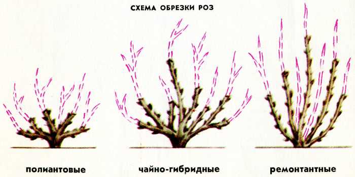 Подходящее время