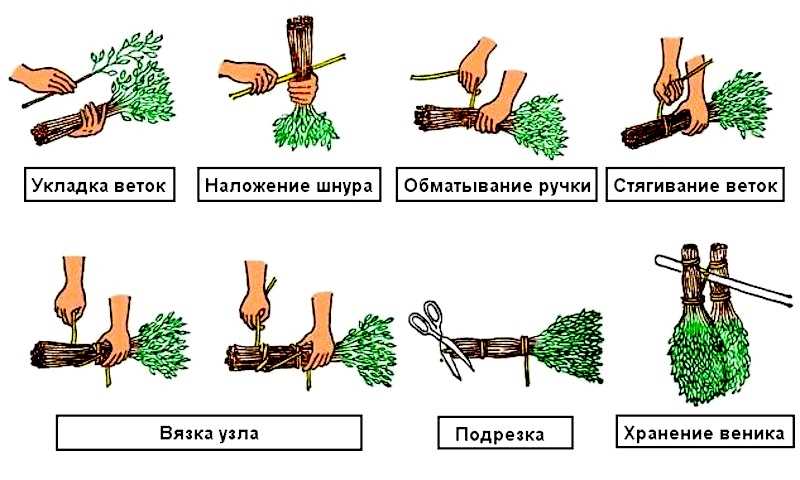 Выбор и подготовка веника