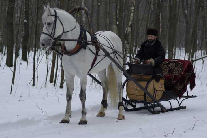 3. Настройка седла и упряжи