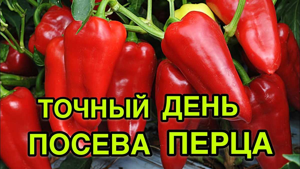 Подготовка грунта