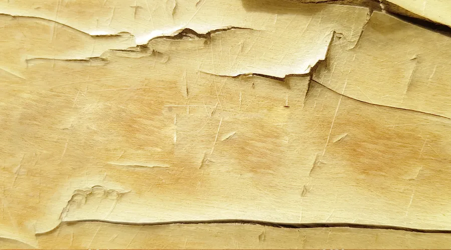 Почему нужно снимать лак с деревянной поверхности?
