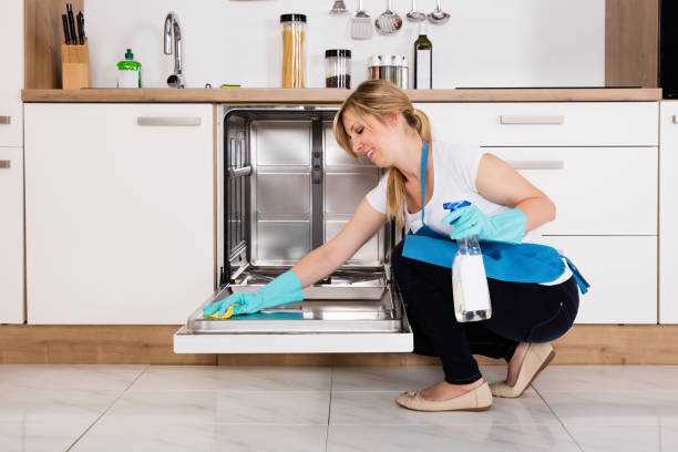 Как избавиться от неприятного запаха в посудомоечной машине?