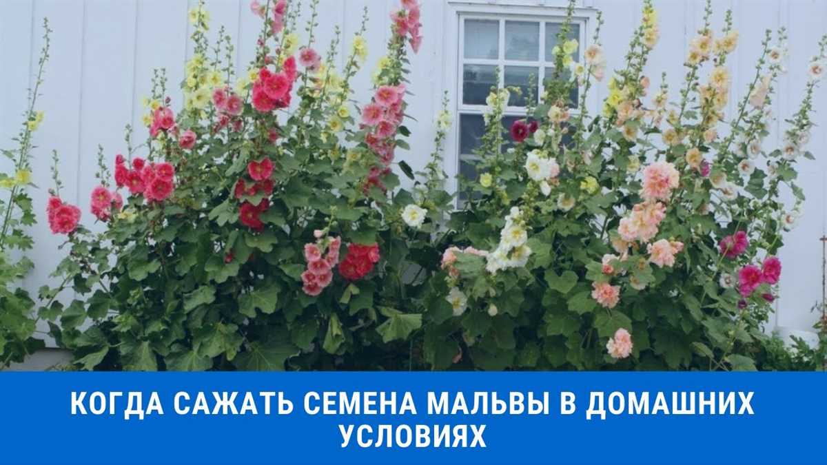 Посев семян