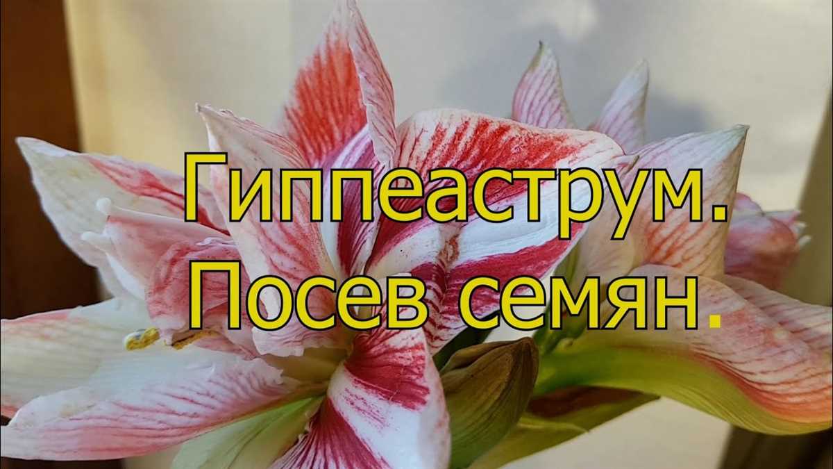 Использование таблицы