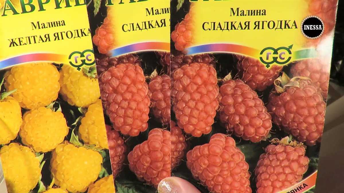 Как правильно посадить семена малины в грунт?