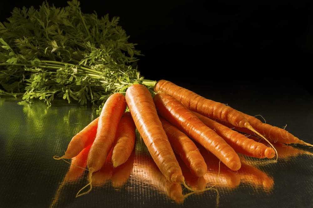 Условия для хранения моркови