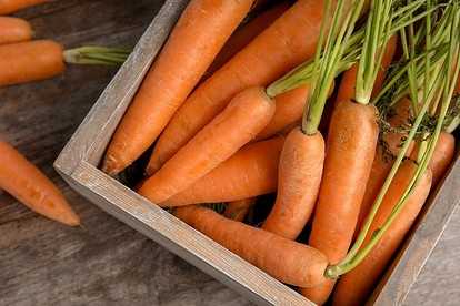 1. Выберите подходящие моркови